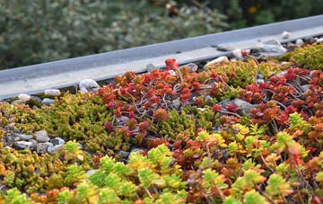 the cost of Camnant green roof installation