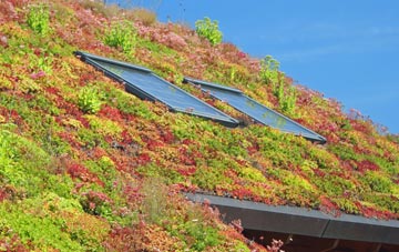 Camnant living roof systems