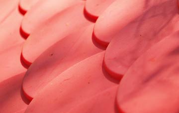 Camnant plastic roof costs