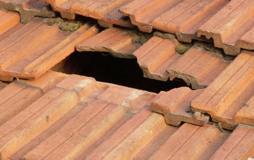 roof repair Camnant, Powys