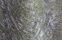 Camnant fibreglass roof work