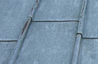 find rated Camnant lead roofing companies
