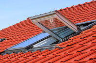 Camnant roof window