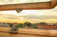 rated Camnant roof window companies